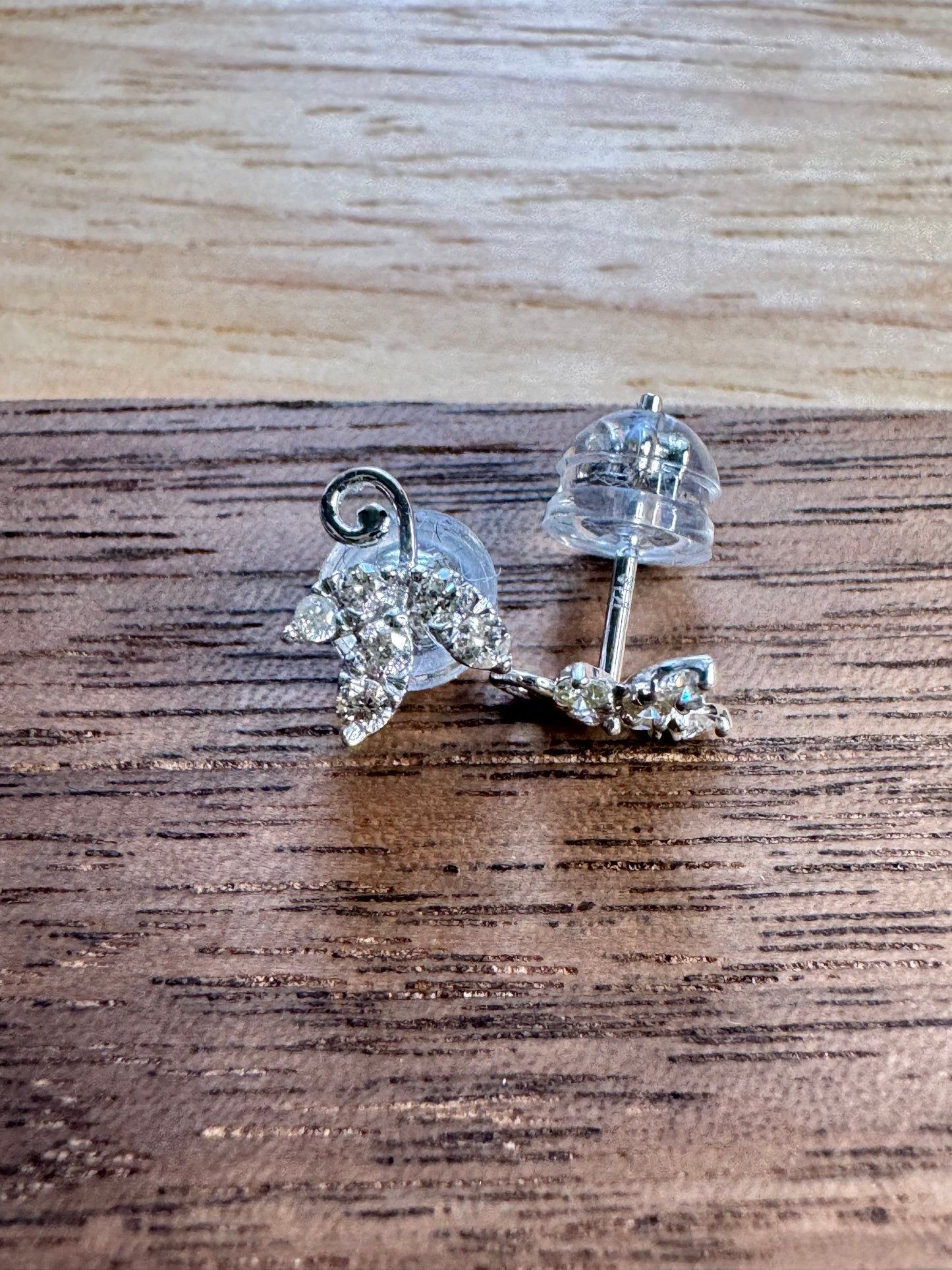 Leaves Earrings