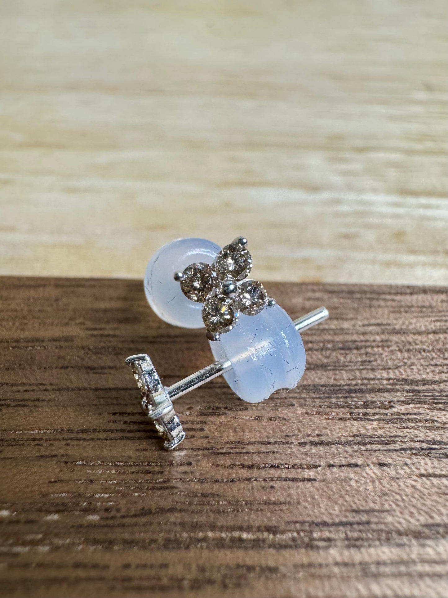 Poinsettia Earrings
