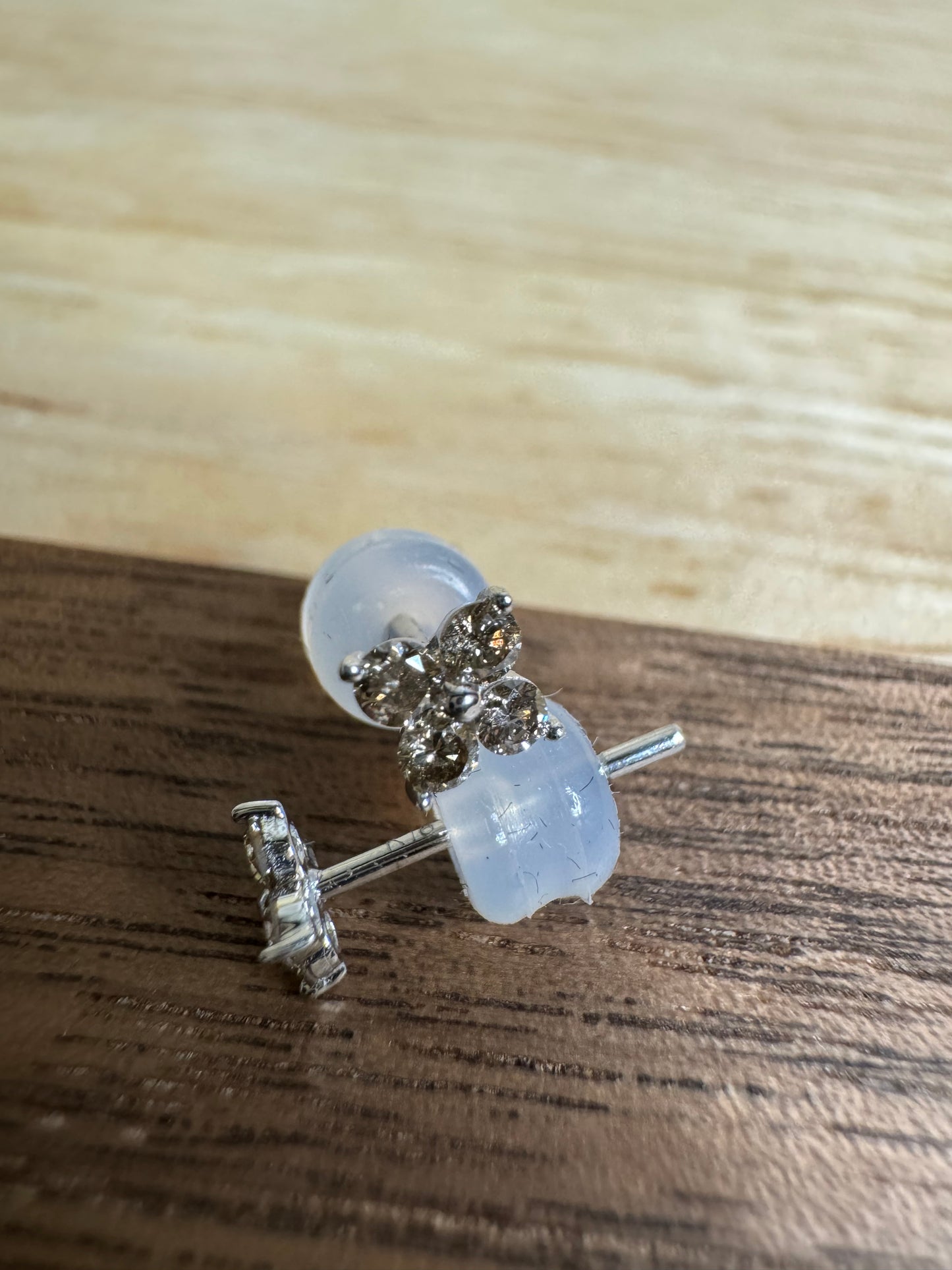 Poinsettia Earrings