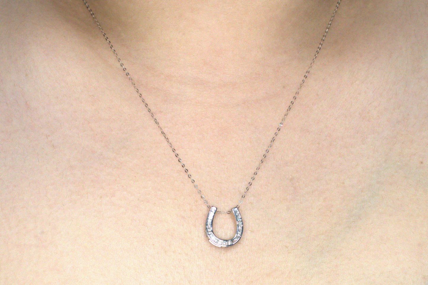 Horseshoe Necklace