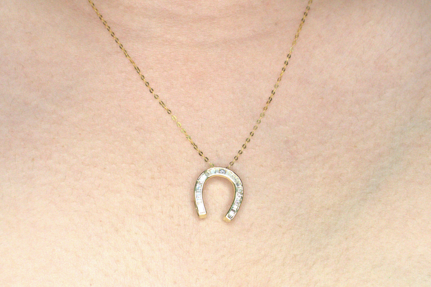 Horseshoe Necklace