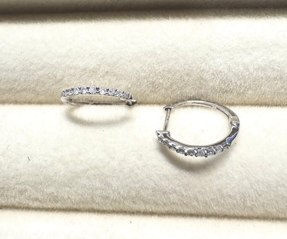 Huggie Earring